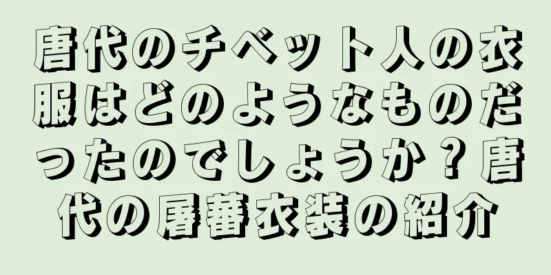 唐代のチベット人の衣服はどのようなものだったのでしょうか？唐代の屠蕃衣装の紹介