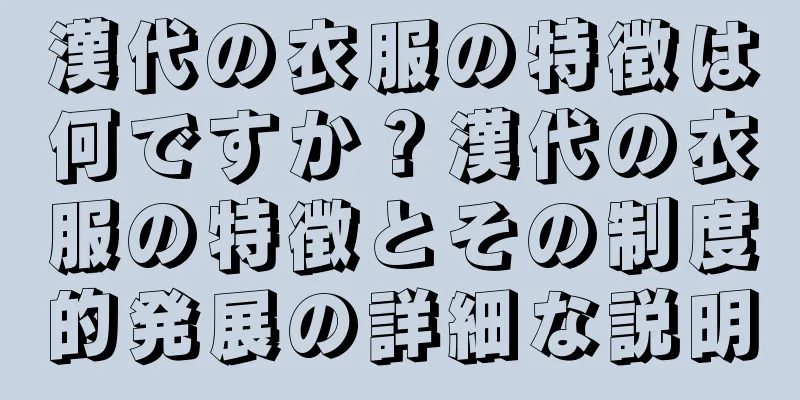 漢代の衣服の特徴は何ですか？漢代の衣服の特徴とその制度的発展の詳細な説明
