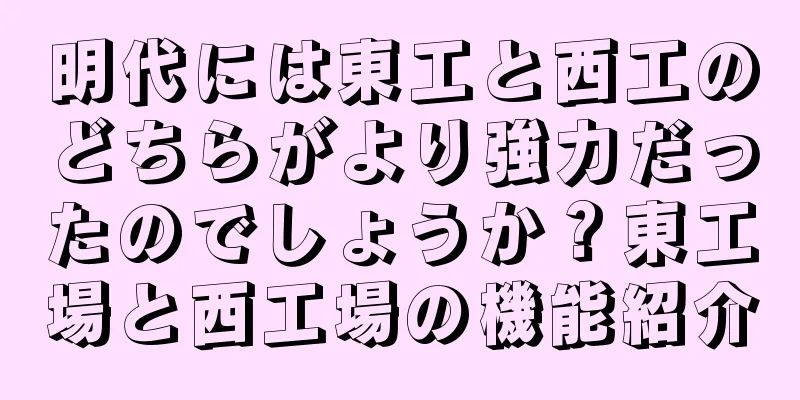 明代には東工と西工のどちらがより強力だったのでしょうか？東工場と西工場の機能紹介
