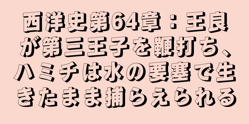西洋史第64章：王良が第三王子を鞭打ち、ハミチは水の要塞で生きたまま捕らえられる