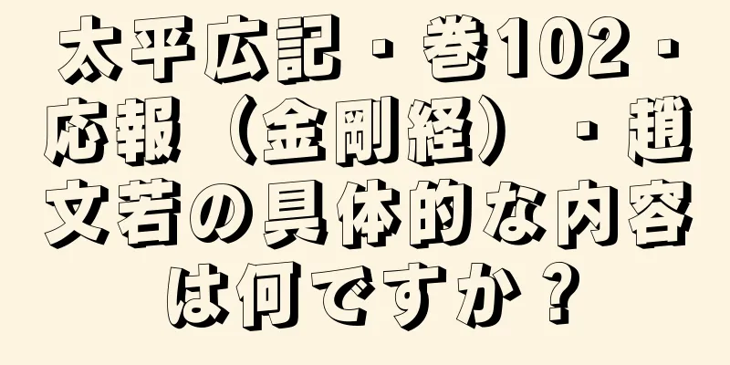 太平広記・巻102・応報（金剛経）・趙文若の具体的な内容は何ですか？