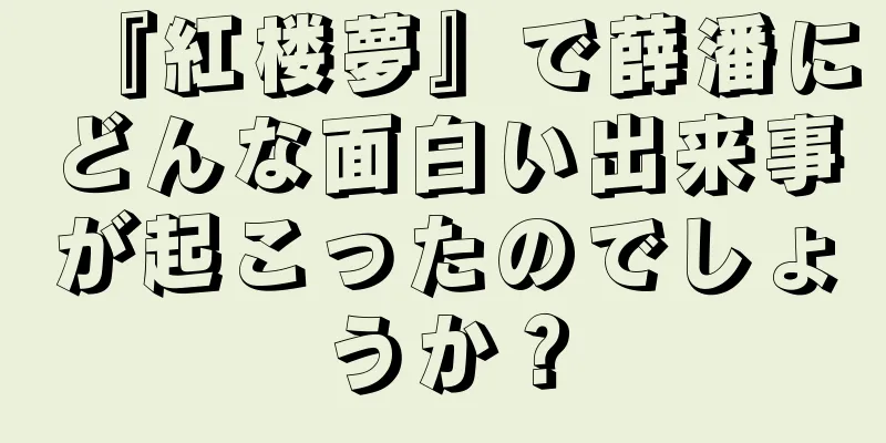 『紅楼夢』で薛潘にどんな面白い出来事が起こったのでしょうか？