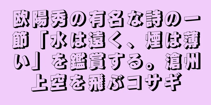 欧陽秀の有名な詩の一節「水は遠く、煙は薄い」を鑑賞する。滄州上空を飛ぶコサギ