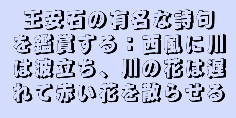 王安石の有名な詩句を鑑賞する：西風に川は波立ち、川の花は遅れて赤い花を散らせる