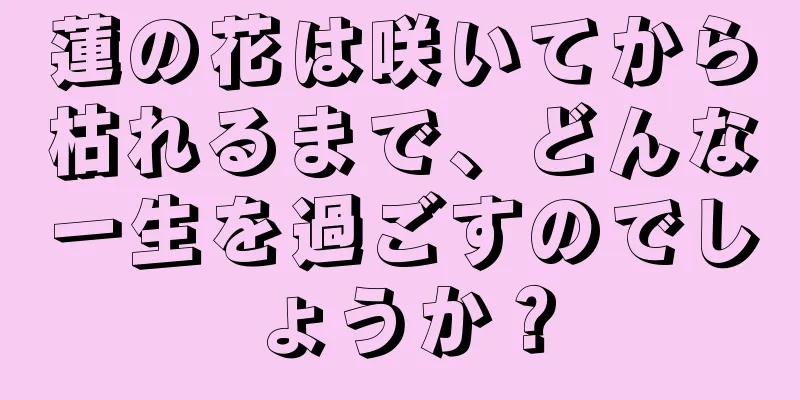 蓮の花は咲いてから枯れるまで、どんな一生を過ごすのでしょうか？
