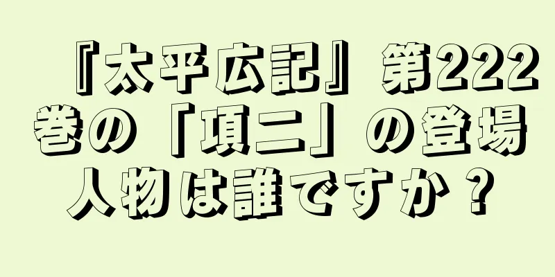 『太平広記』第222巻の「項二」の登場人物は誰ですか？