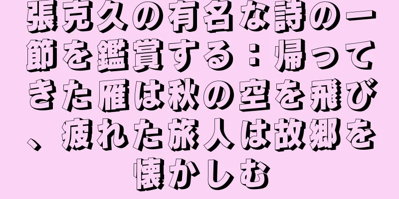張克久の有名な詩の一節を鑑賞する：帰ってきた雁は秋の空を飛び、疲れた旅人は故郷を懐かしむ