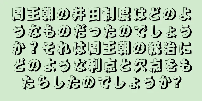 周王朝の井田制度はどのようなものだったのでしょうか？それは周王朝の統治にどのような利点と欠点をもたらしたのでしょうか?