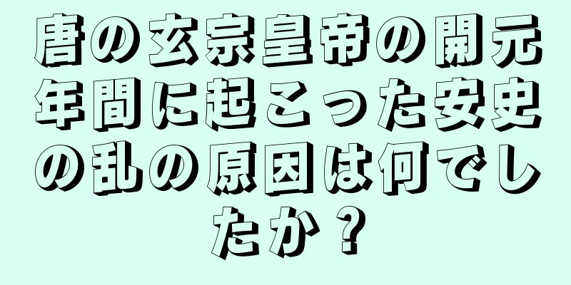唐の玄宗皇帝の開元年間に起こった安史の乱の原因は何でしたか？