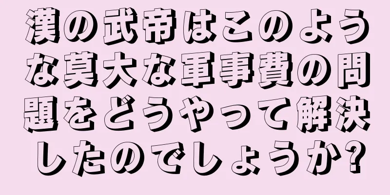漢の武帝はこのような莫大な軍事費の問題をどうやって解決したのでしょうか?