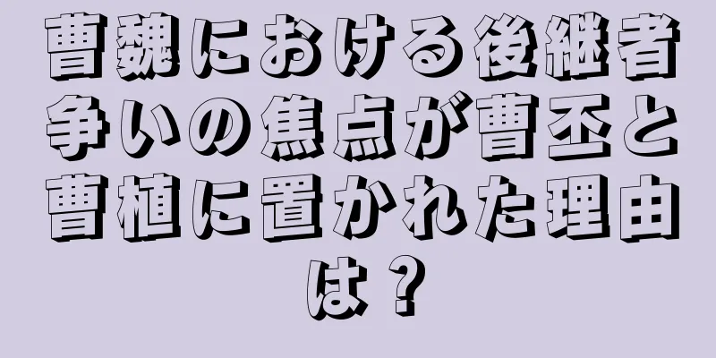 曹魏における後継者争いの焦点が曹丕と曹植に置かれた理由は？