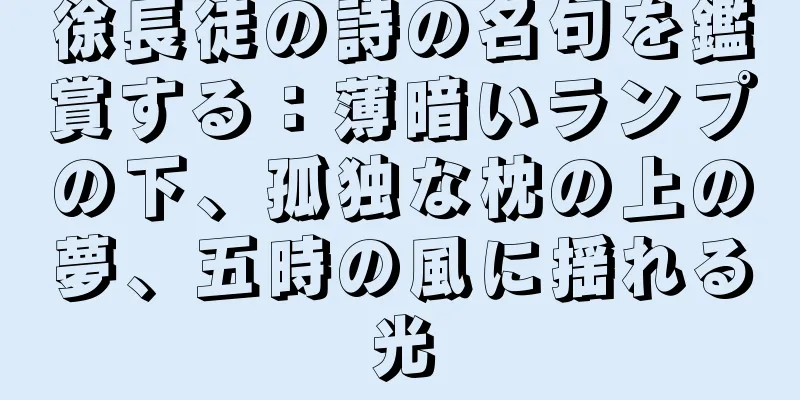 徐長徒の詩の名句を鑑賞する：薄暗いランプの下、孤独な枕の上の夢、五時の風に揺れる光