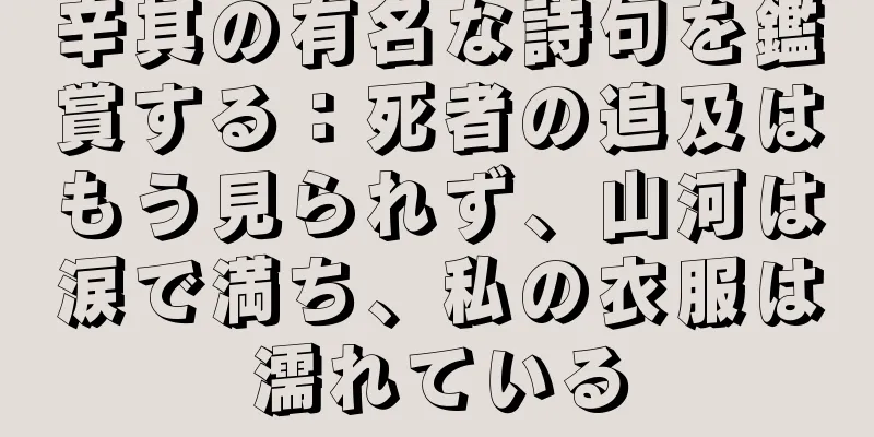 辛其の有名な詩句を鑑賞する：死者の追及はもう見られず、山河は涙で満ち、私の衣服は濡れている