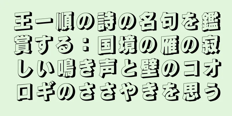 王一順の詩の名句を鑑賞する：国境の雁の寂しい鳴き声と壁のコオロギのささやきを思う