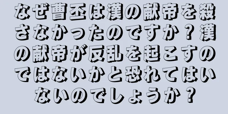 なぜ曹丕は漢の献帝を殺さなかったのですか？漢の献帝が反乱を起こすのではないかと恐れてはいないのでしょうか？