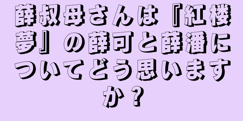 薛叔母さんは『紅楼夢』の薛可と薛潘についてどう思いますか？