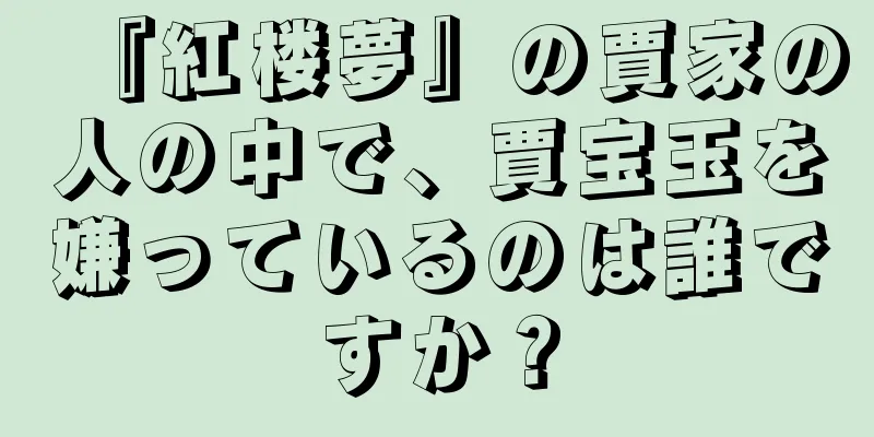 『紅楼夢』の賈家の人の中で、賈宝玉を嫌っているのは誰ですか？