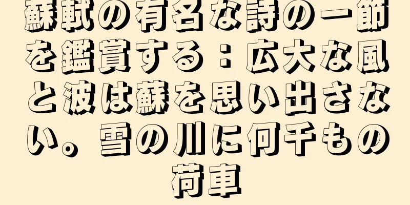 蘇軾の有名な詩の一節を鑑賞する：広大な風と波は蘇を思い出さない。雪の川に何千もの荷車