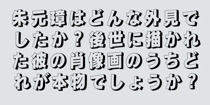 朱元璋はどんな外見でしたか？後世に描かれた彼の肖像画のうちどれが本物でしょうか？