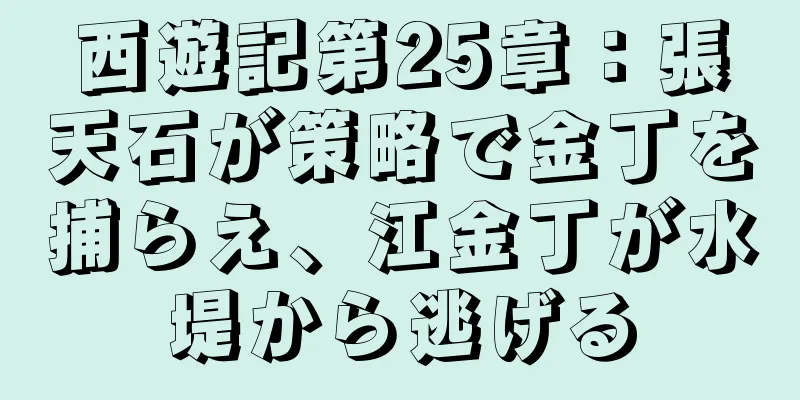 西遊記第25章：張天石が策略で金丁を捕らえ、江金丁が水堤から逃げる