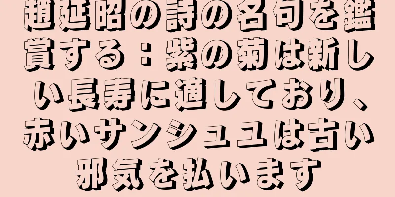 趙延昭の詩の名句を鑑賞する：紫の菊は新しい長寿に適しており、赤いサンシュユは古い邪気を払います