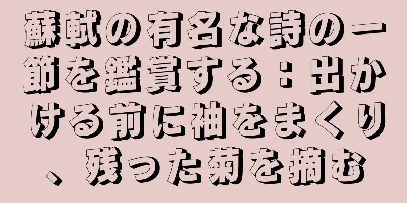 蘇軾の有名な詩の一節を鑑賞する：出かける前に袖をまくり、残った菊を摘む