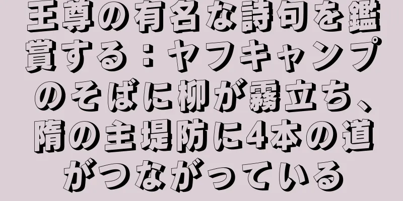 王尊の有名な詩句を鑑賞する：ヤフキャンプのそばに柳が霧立ち、隋の主堤防に4本の道がつながっている