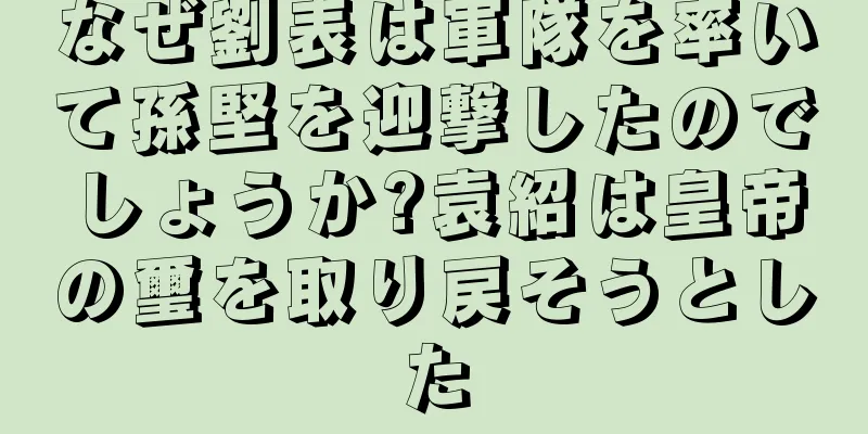 なぜ劉表は軍隊を率いて孫堅を迎撃したのでしょうか?袁紹は皇帝の璽を取り戻そうとした