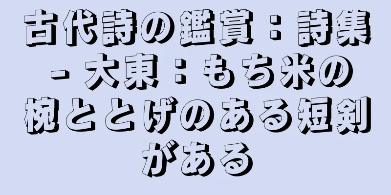 古代詩の鑑賞：詩集 - 大東：もち米の椀ととげのある短剣がある