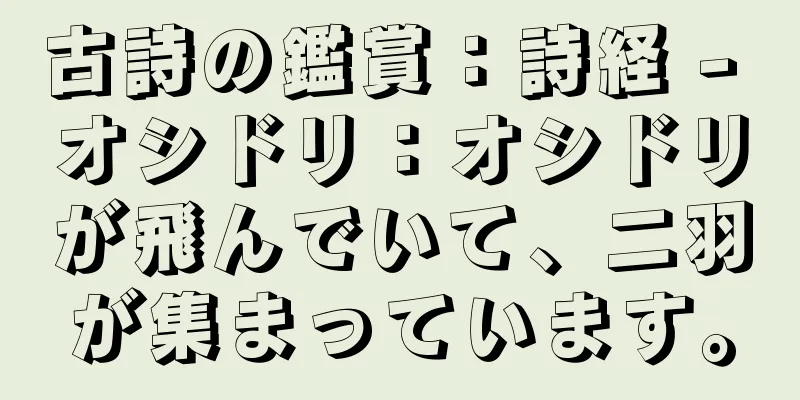 古詩の鑑賞：詩経 - オシドリ：オシドリが飛んでいて、二羽が集まっています。
