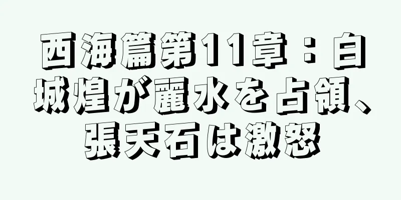 西海篇第11章：白城煌が麗水を占領、張天石は激怒