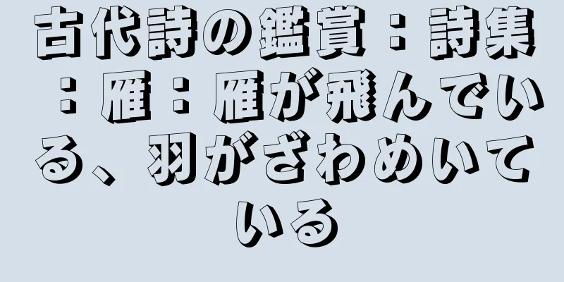 古代詩の鑑賞：詩集：雁：雁が飛んでいる、羽がざわめいている