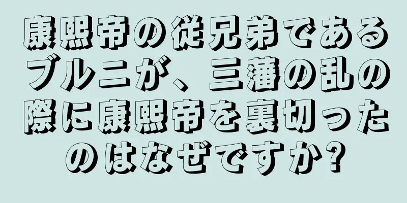 康熙帝の従兄弟であるブルニが、三藩の乱の際に康熙帝を裏切ったのはなぜですか?