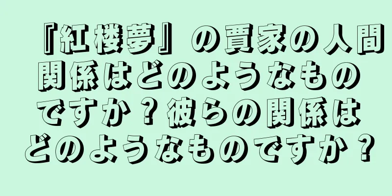 『紅楼夢』の賈家の人間関係はどのようなものですか？彼らの関係はどのようなものですか？