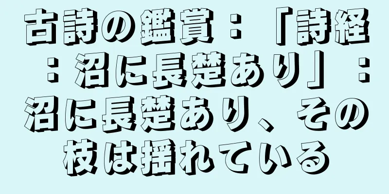 古詩の鑑賞：「詩経：沼に長楚あり」：沼に長楚あり、その枝は揺れている