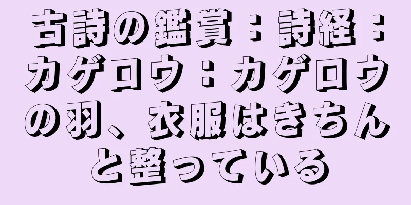 古詩の鑑賞：詩経：カゲロウ：カゲロウの羽、衣服はきちんと整っている