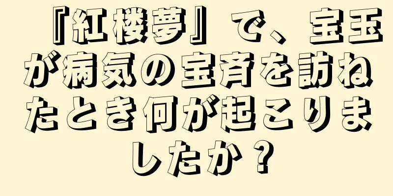 『紅楼夢』で、宝玉が病気の宝斉を訪ねたとき何が起こりましたか？