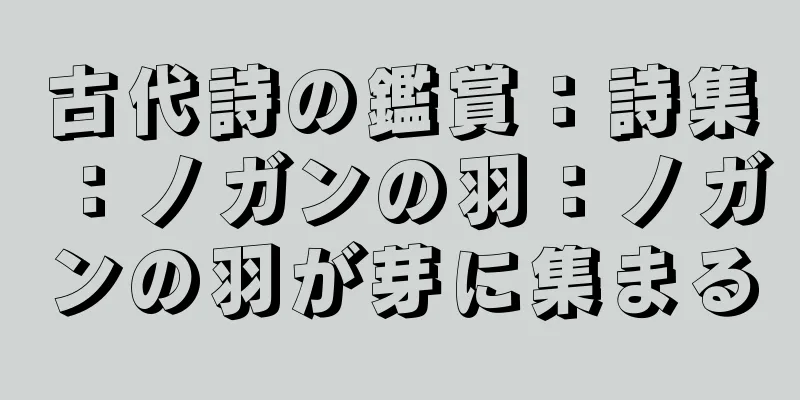 古代詩の鑑賞：詩集：ノガンの羽：ノガンの羽が芽に集まる