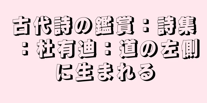 古代詩の鑑賞：詩集：杜有迪：道の左側に生まれる