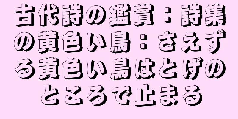 古代詩の鑑賞：詩集の黄色い鳥：さえずる黄色い鳥はとげのところで止まる