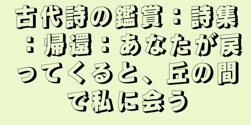 古代詩の鑑賞：詩集：帰還：あなたが戻ってくると、丘の間で私に会う