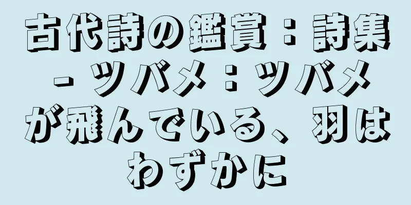 古代詩の鑑賞：詩集 - ツバメ：ツバメが飛んでいる、羽はわずかに