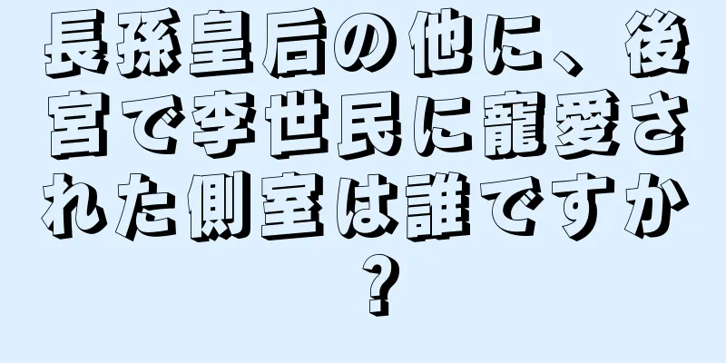 長孫皇后の他に、後宮で李世民に寵愛された側室は誰ですか？