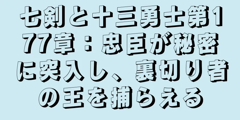 七剣と十三勇士第177章：忠臣が秘密に突入し、裏切り者の王を捕らえる
