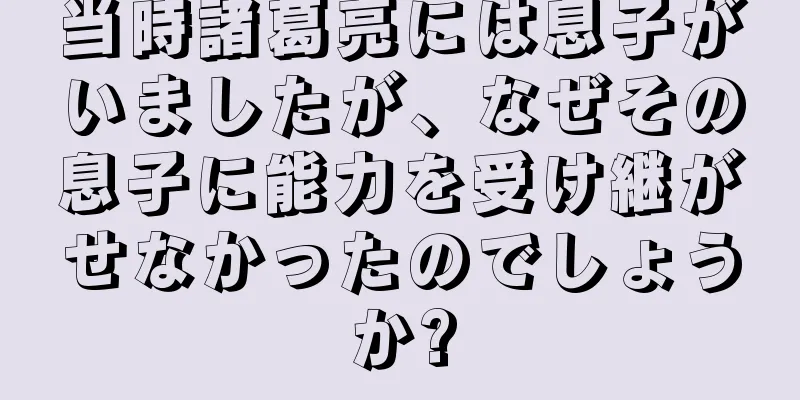 当時諸葛亮には息子がいましたが、なぜその息子に能力を受け継がせなかったのでしょうか?