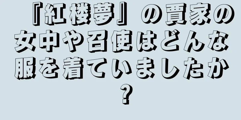 『紅楼夢』の賈家の女中や召使はどんな服を着ていましたか？
