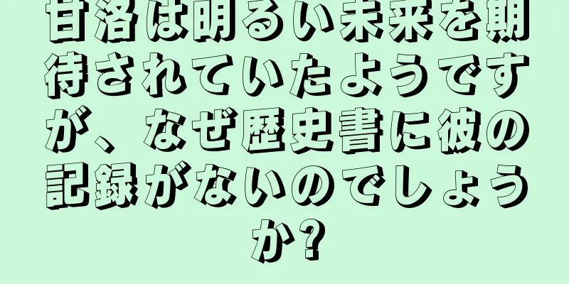 甘洛は明るい未来を期待されていたようですが、なぜ歴史書に彼の記録がないのでしょうか?
