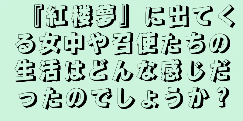 『紅楼夢』に出てくる女中や召使たちの生活はどんな感じだったのでしょうか？