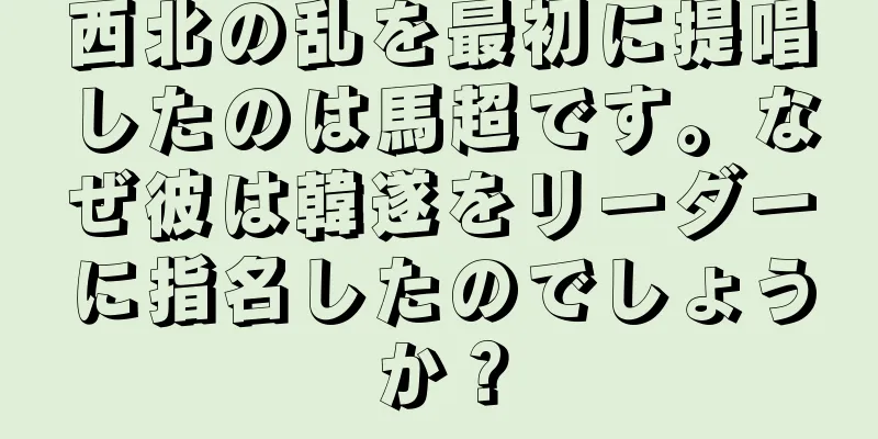 西北の乱を最初に提唱したのは馬超です。なぜ彼は韓遂をリーダーに指名したのでしょうか？