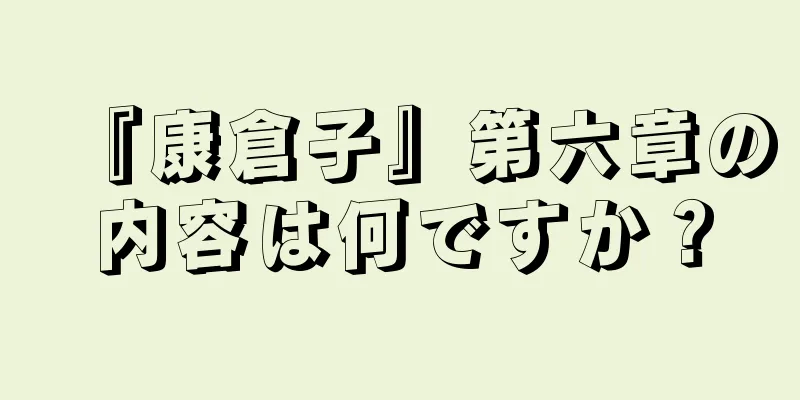 『康倉子』第六章の内容は何ですか？